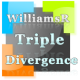 WilliamsR Triple Divergence indicator and Market Analyzer with alert for NinjaTrader 8.